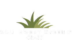 Synthetic Grass by Southwest Greens Northern CA West