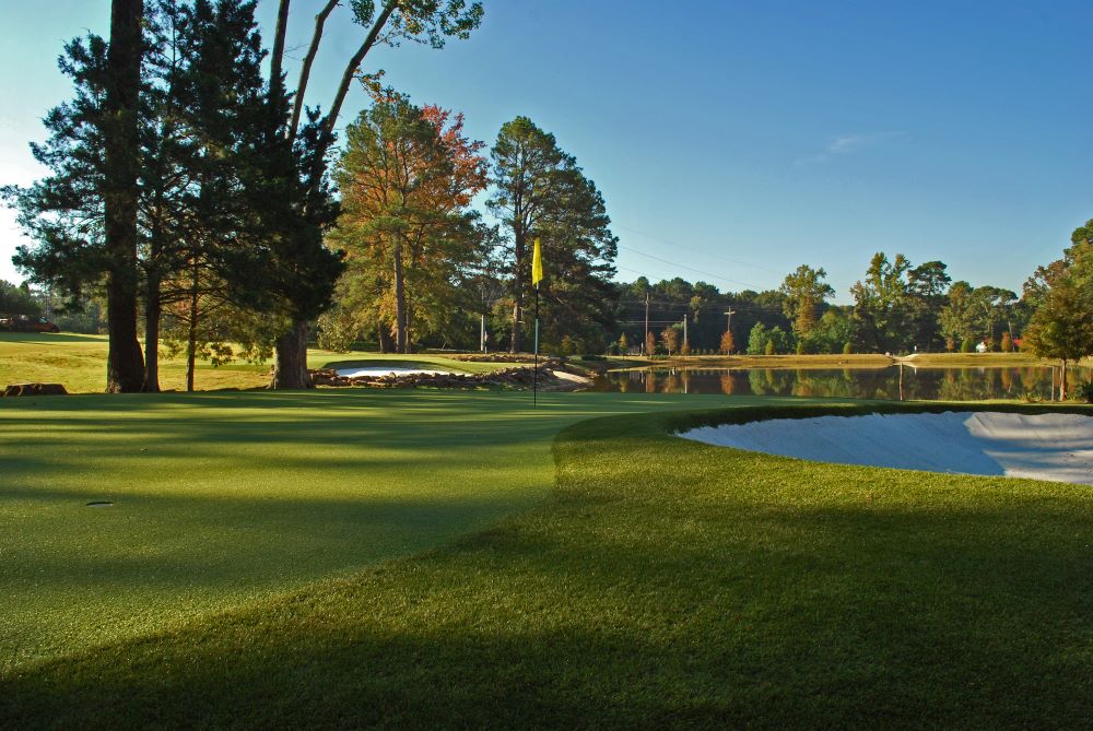 San Francisco Artificial Turf Golf Course