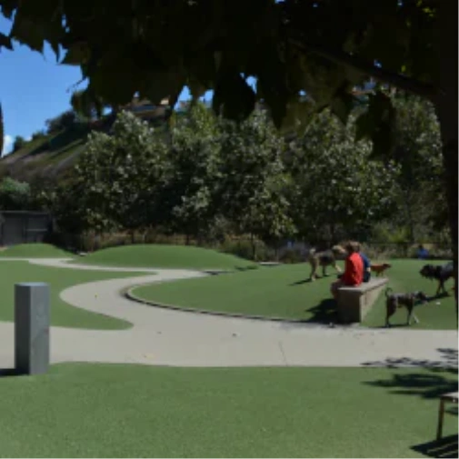 What to Review Prior to When You Spec a Dog Park Surface in San Francisco