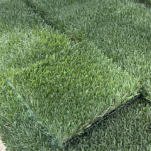 Introducing Wide Blade Turf in San Francisco