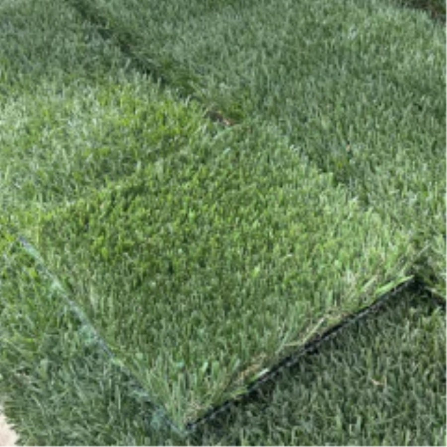 Introducing Wide Blade Turf in San Francisco