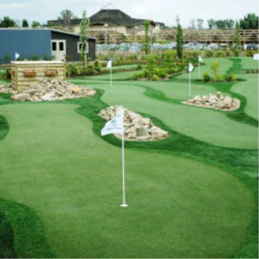 Top Mini Golf Courses in San Francisco