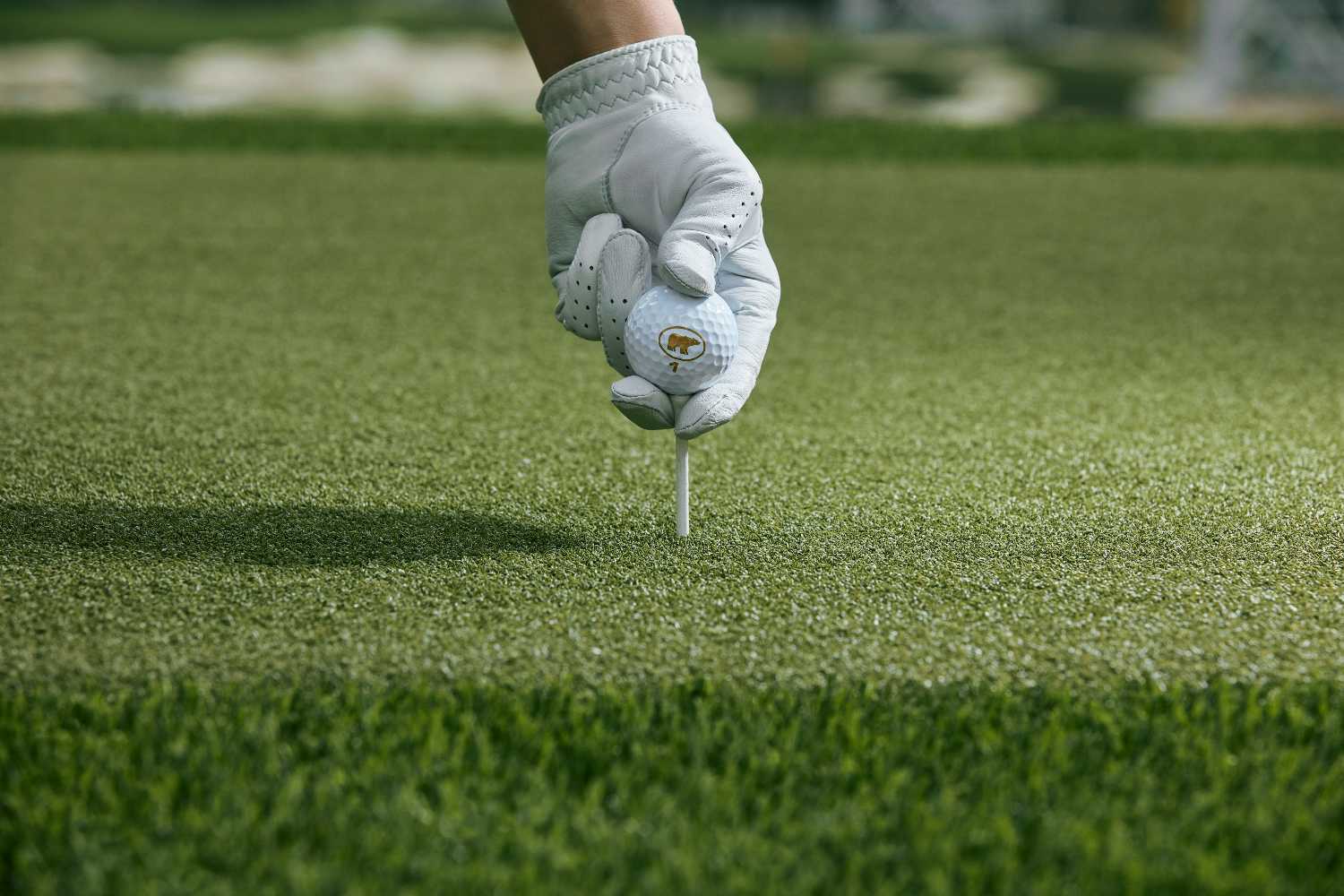 San Francisco driving range