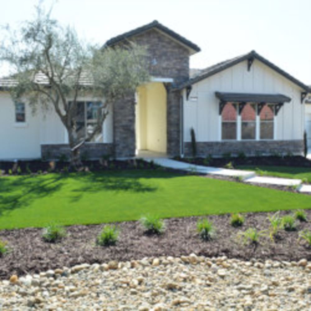 Artificial Lawn Maintenance Tips in San Francisco