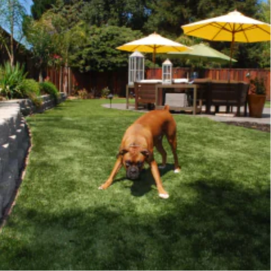 Ways fake grass for dogs Upgrades Your [[targetlocaiton]] Yard
