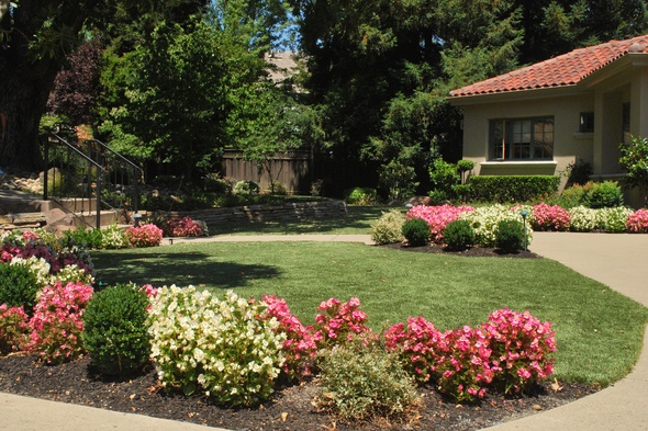 San Francisco Artificial Turf Lansdscaping