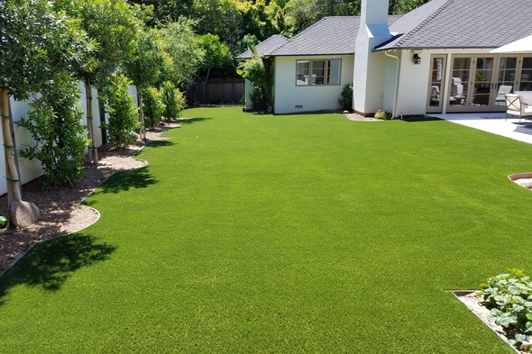 San Francisco artificial grass landscaping