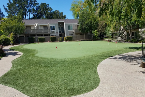 San Francisco backyard putting green with flags and trees