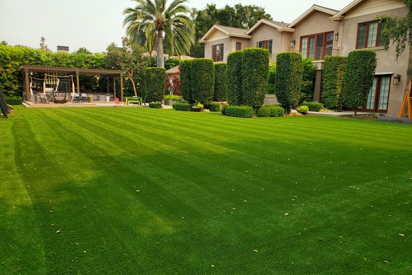San Francisco synthetic grass landscaping