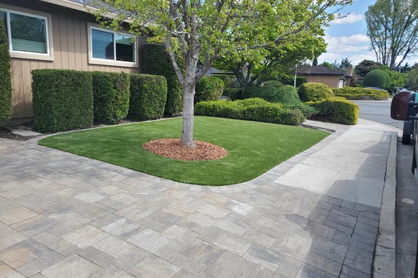 San Francisco artificial grass landscaping