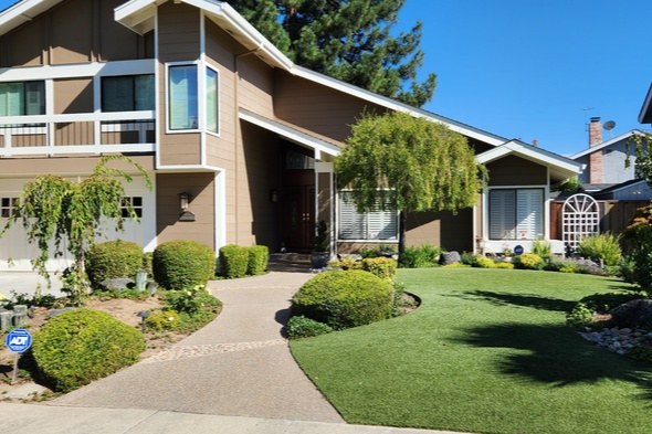 San Francisco synthetic grass landscaping